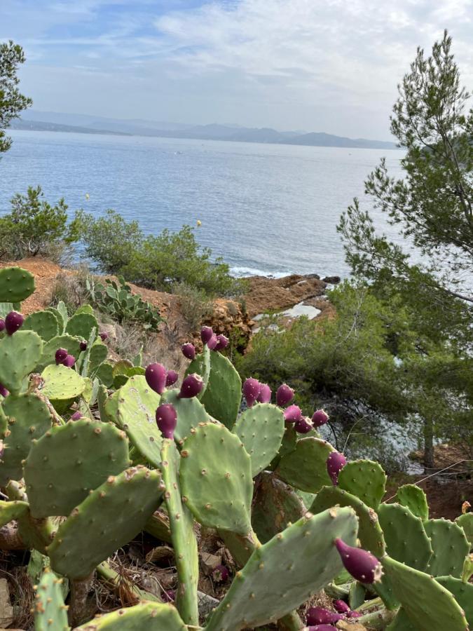 La Ciotat Vieux Port 2 Διαμέρισμα Εξωτερικό φωτογραφία